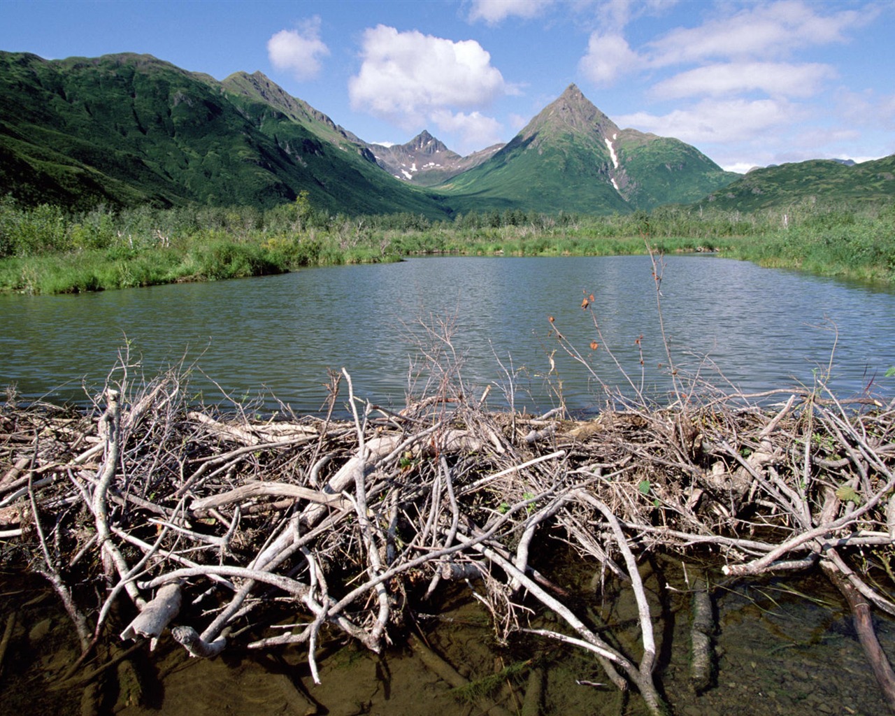 Fondos de escritorio de paisajes de Alaska (2) #9 - 1280x1024
