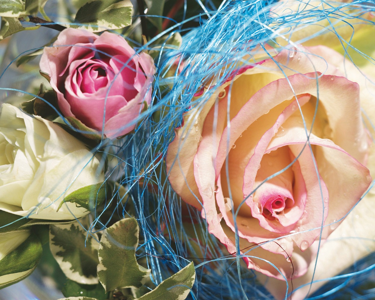 Širokoúhlý tapety květiny close-up (4) #2 - 1280x1024