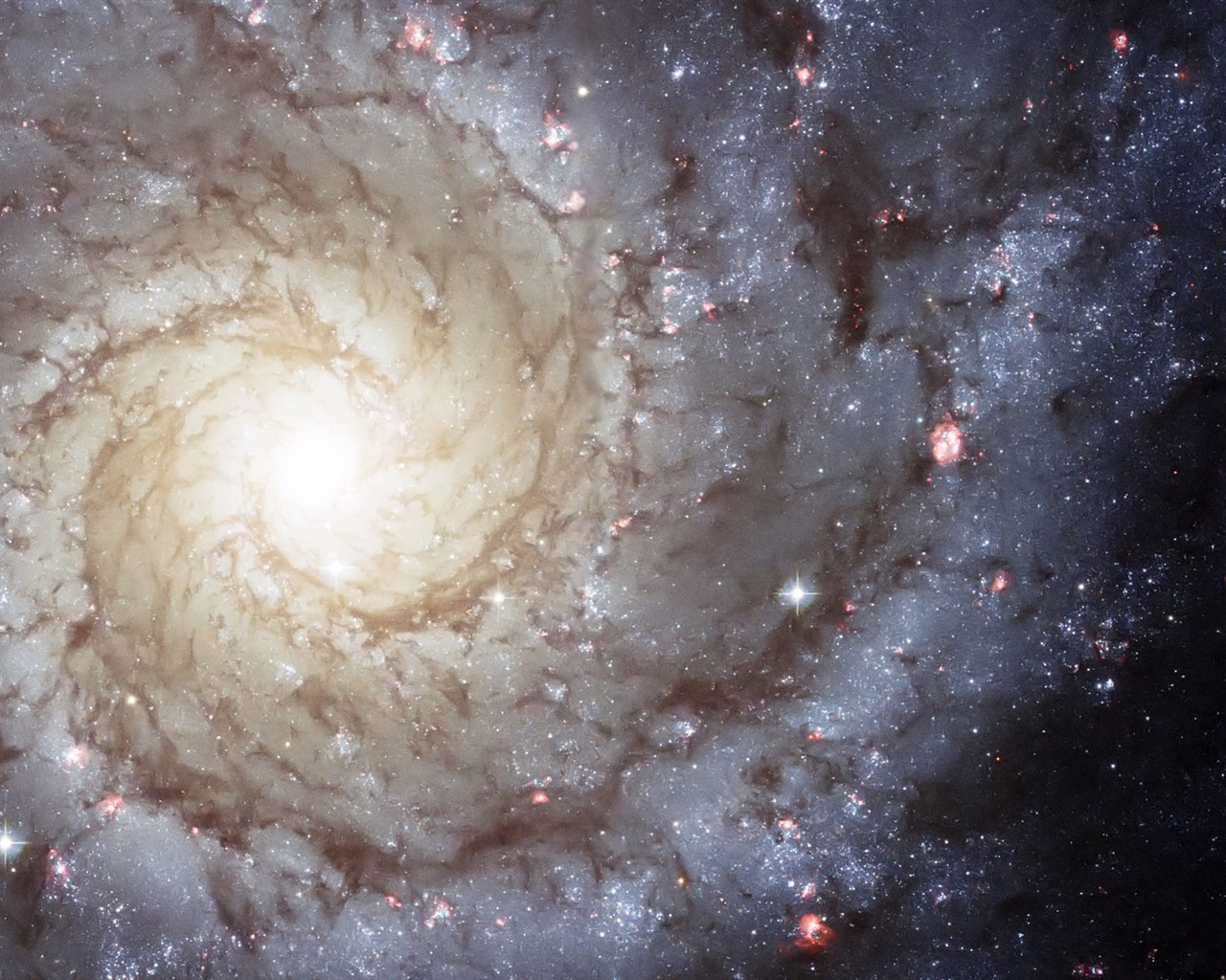 Hubble Star Wallpaper (3) #18 - 1280x1024