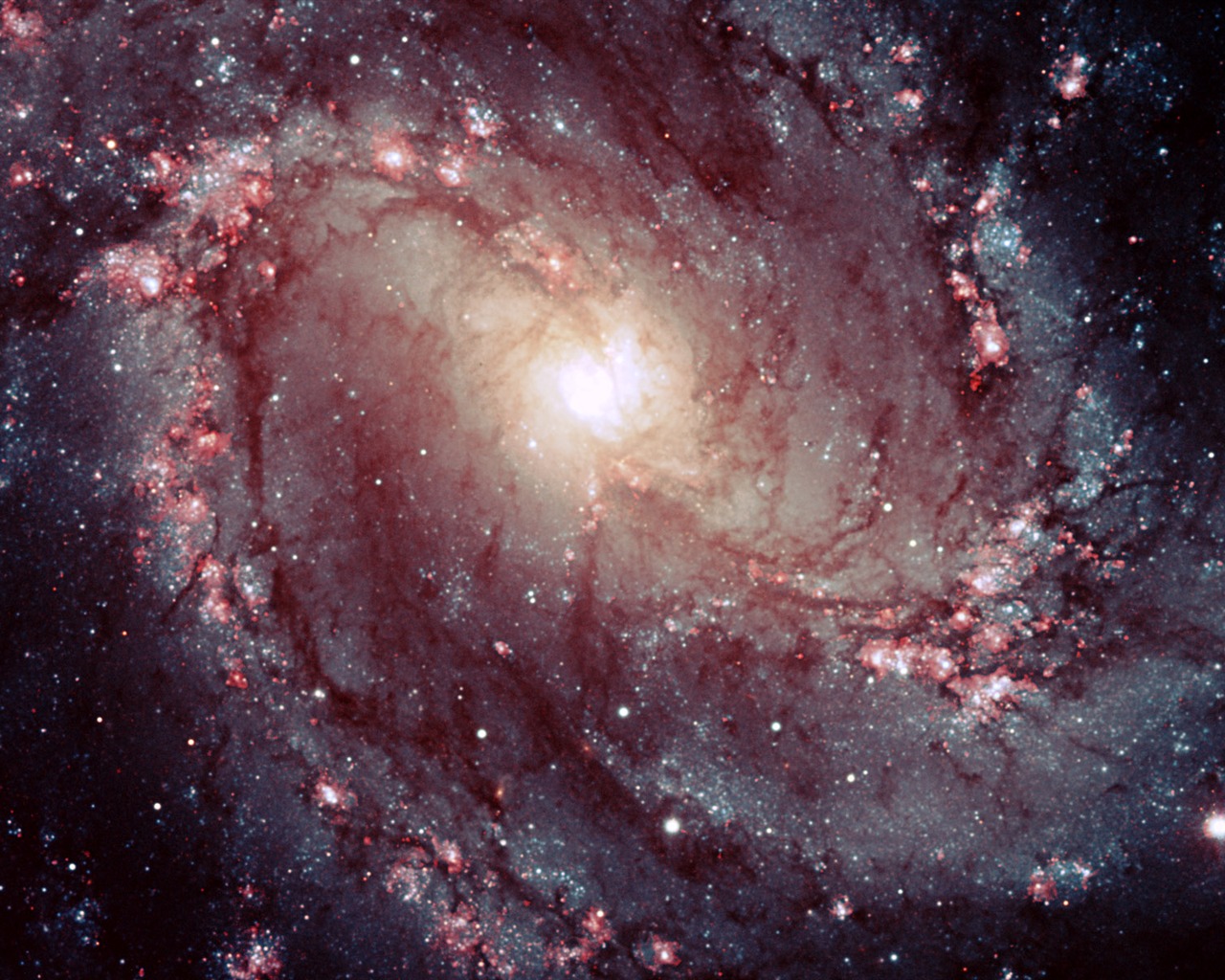 Hubble Star Wallpaper (4) #1 - 1280x1024