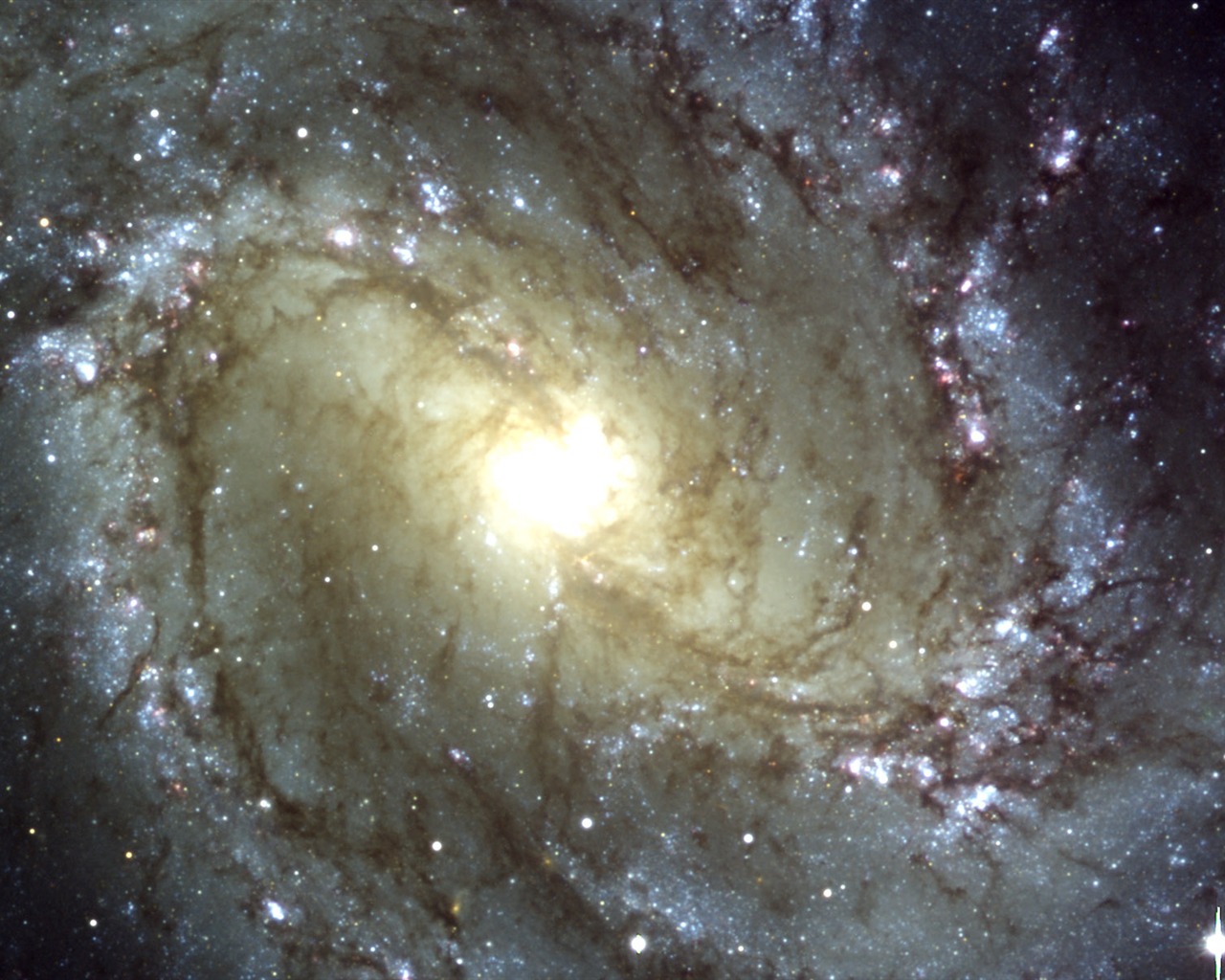 Hubble Star Wallpaper (5) #10 - 1280x1024