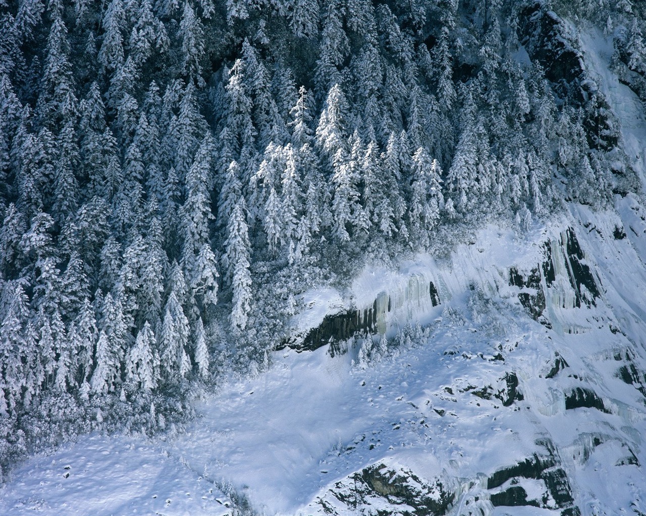 冬天雪景壁纸5 - 1280x1024