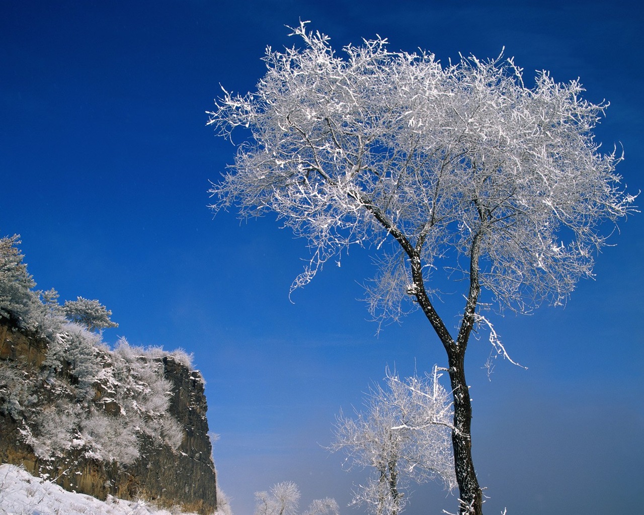 冬天雪景壁纸9 - 1280x1024