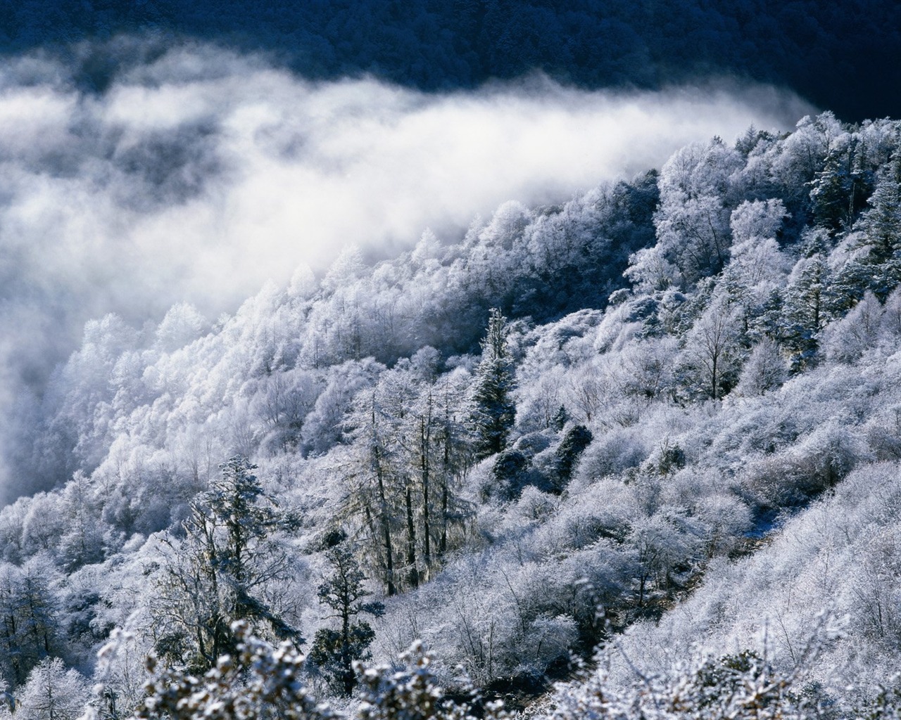 冬天雪景壁纸28 - 1280x1024