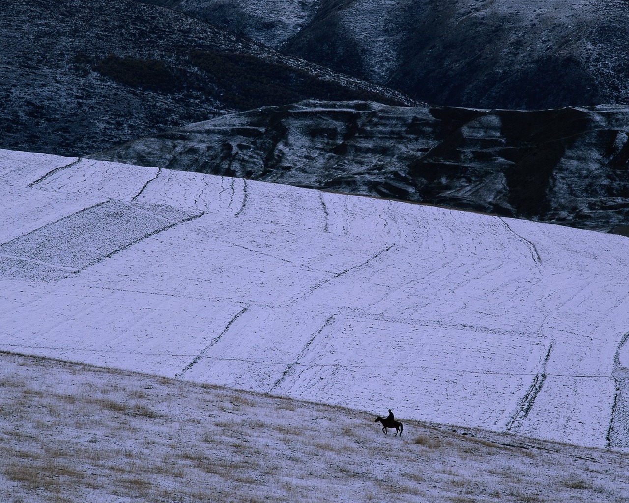 冬天雪景壁紙 #32 - 1280x1024