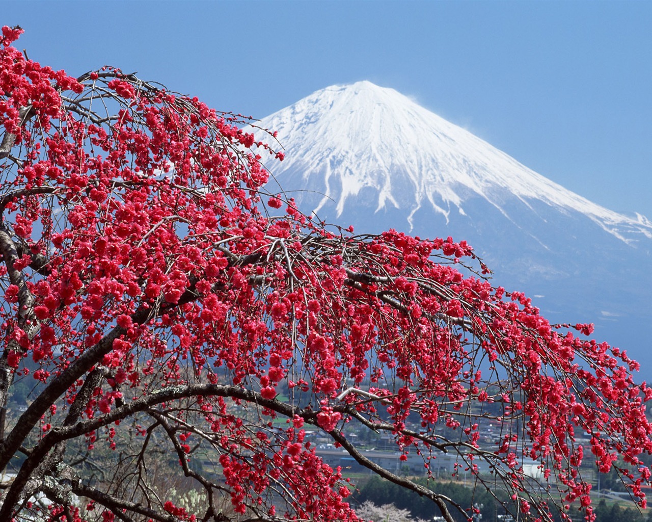 Mount Fuji, Japan wallpaper (1) #1 - 1280x1024