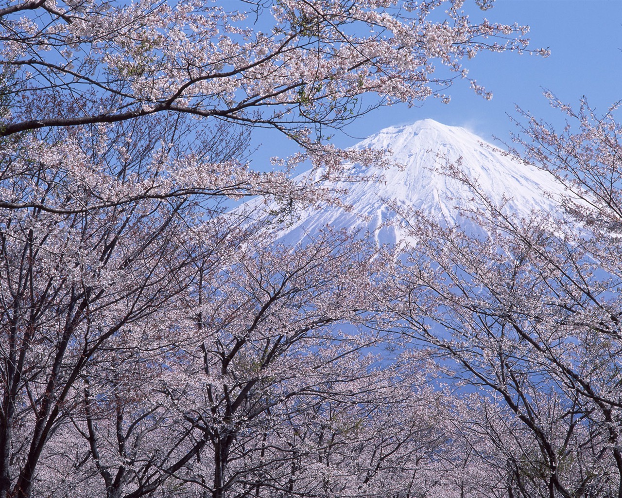 富士山、日本の壁紙 (2) #9 - 1280x1024