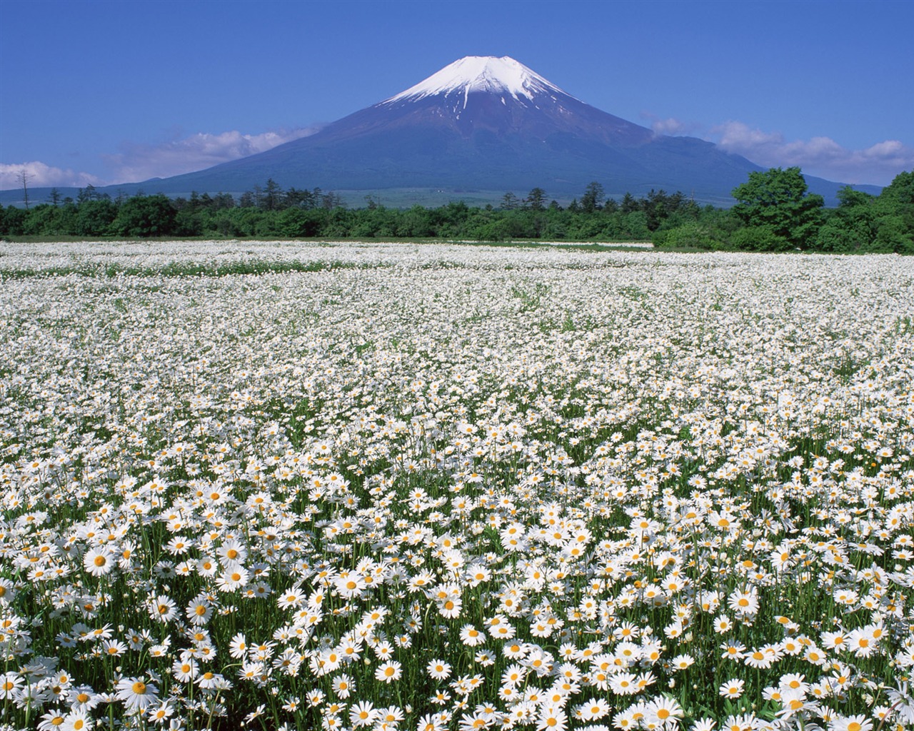 Гора Фудзи, Япония обои (2) #15 - 1280x1024