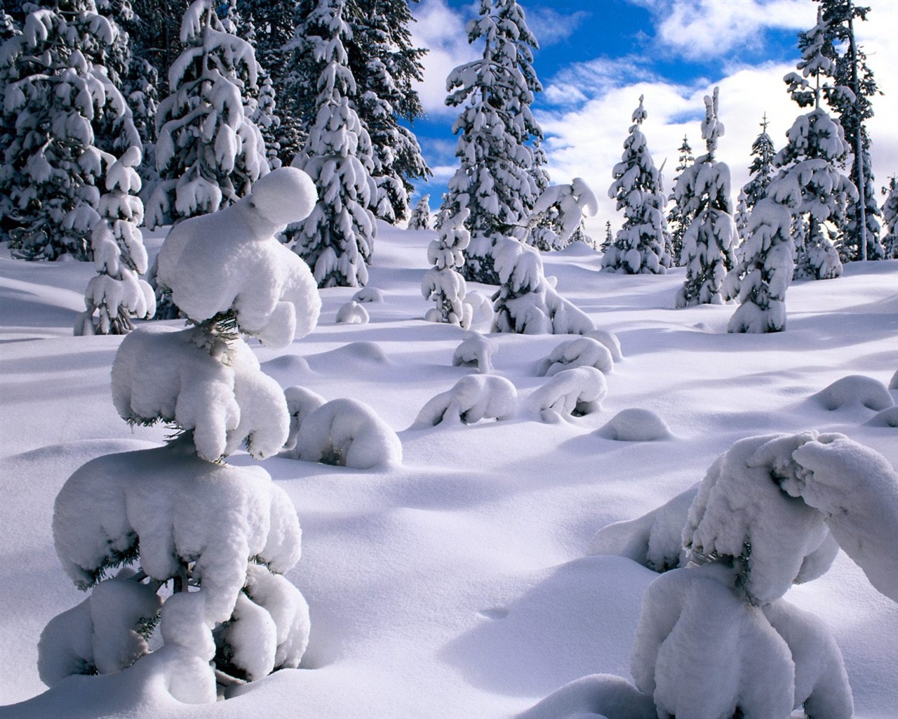 Invierno Nieve fondo de pantalla (2) #3 - 1280x1024