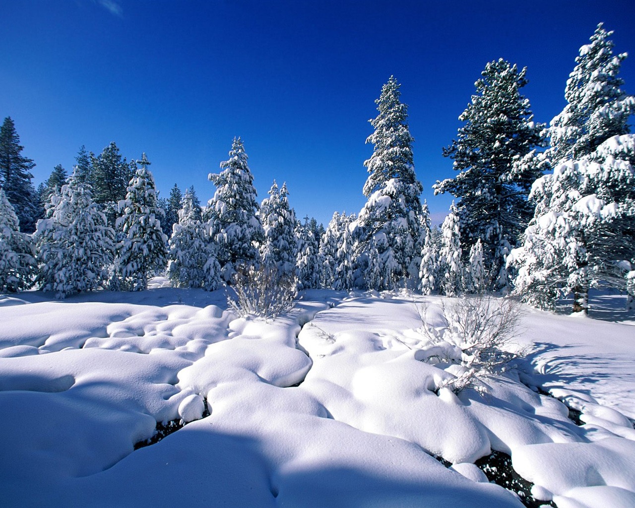 Invierno Nieve fondo de pantalla (2) #4 - 1280x1024