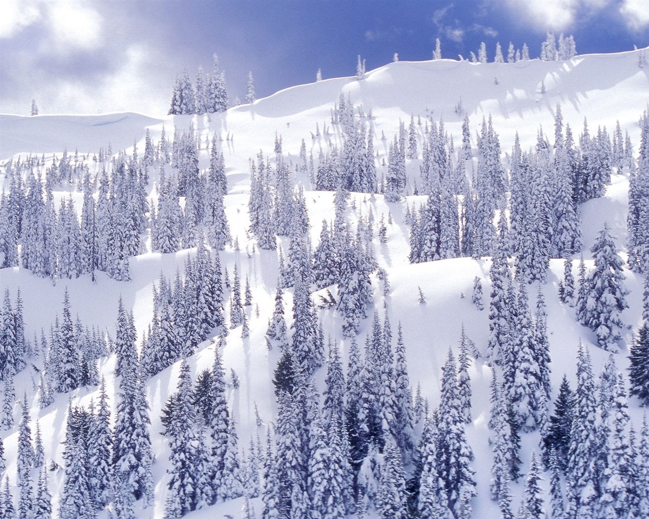 Invierno Nieve fondo de pantalla (2) #5 - 1280x1024
