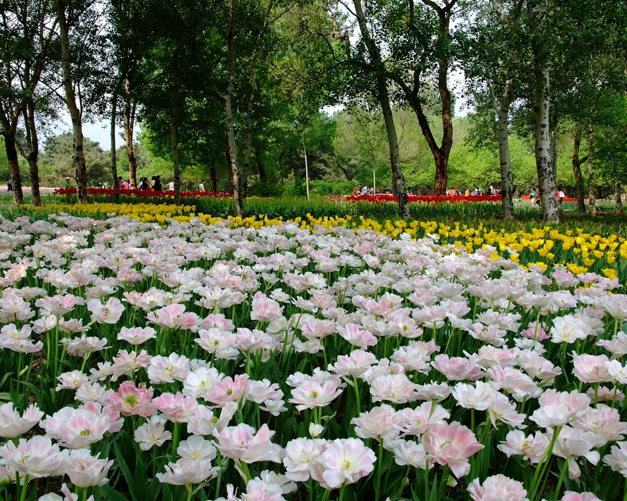 jardin Xiangshan début de l'été (travaux barres d'armature) #5 - 1280x1024