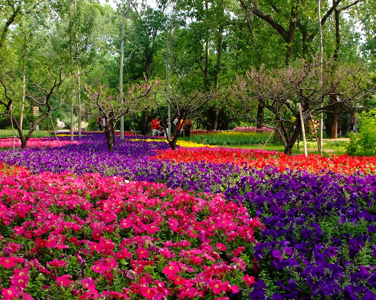 Xiangshan early summer garden (rebar works) #9 - 1280x1024