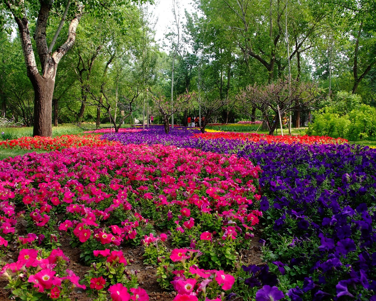 Xiangshan early summer garden (rebar works) #10 - 1280x1024