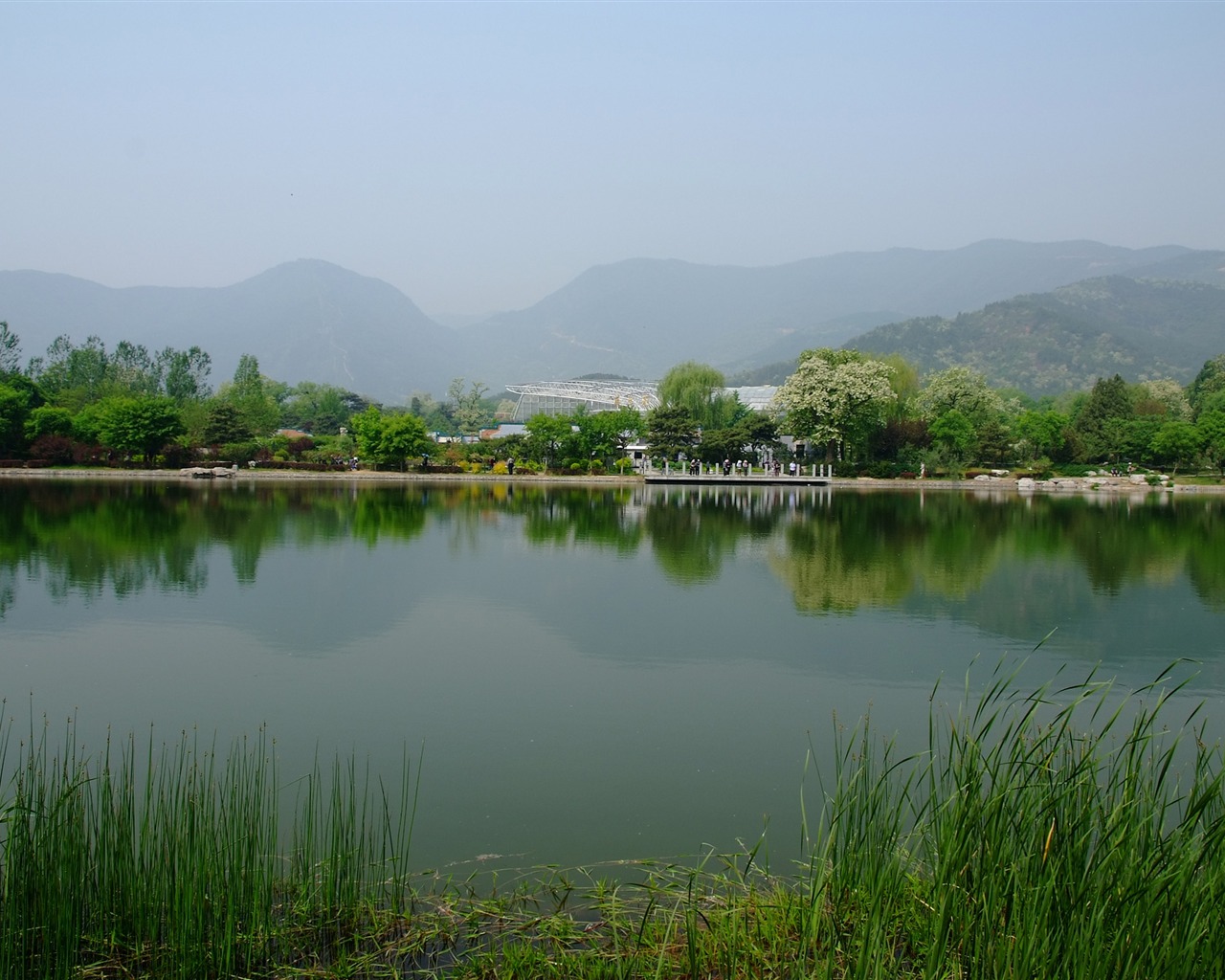 初夏的香山植物园 (螺纹钢作品)23 - 1280x1024