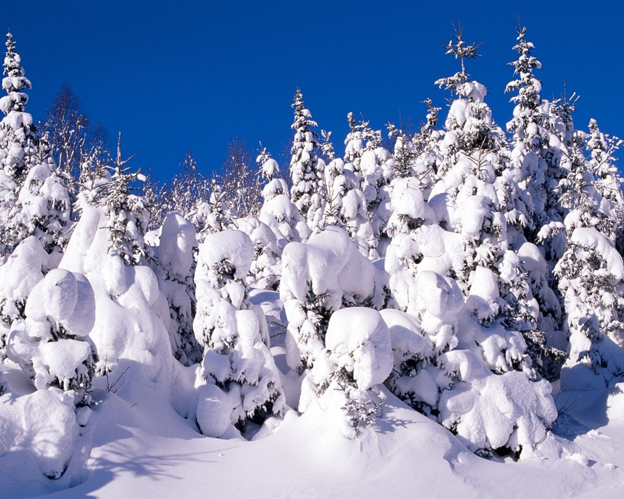 Invierno Nieve fondo de pantalla (3) #2 - 1280x1024
