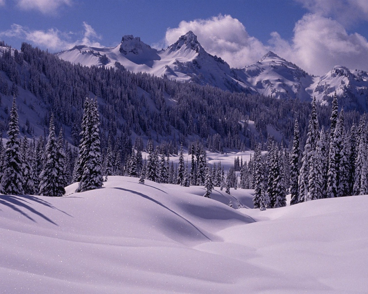 Invierno Nieve fondo de pantalla (3) #5 - 1280x1024