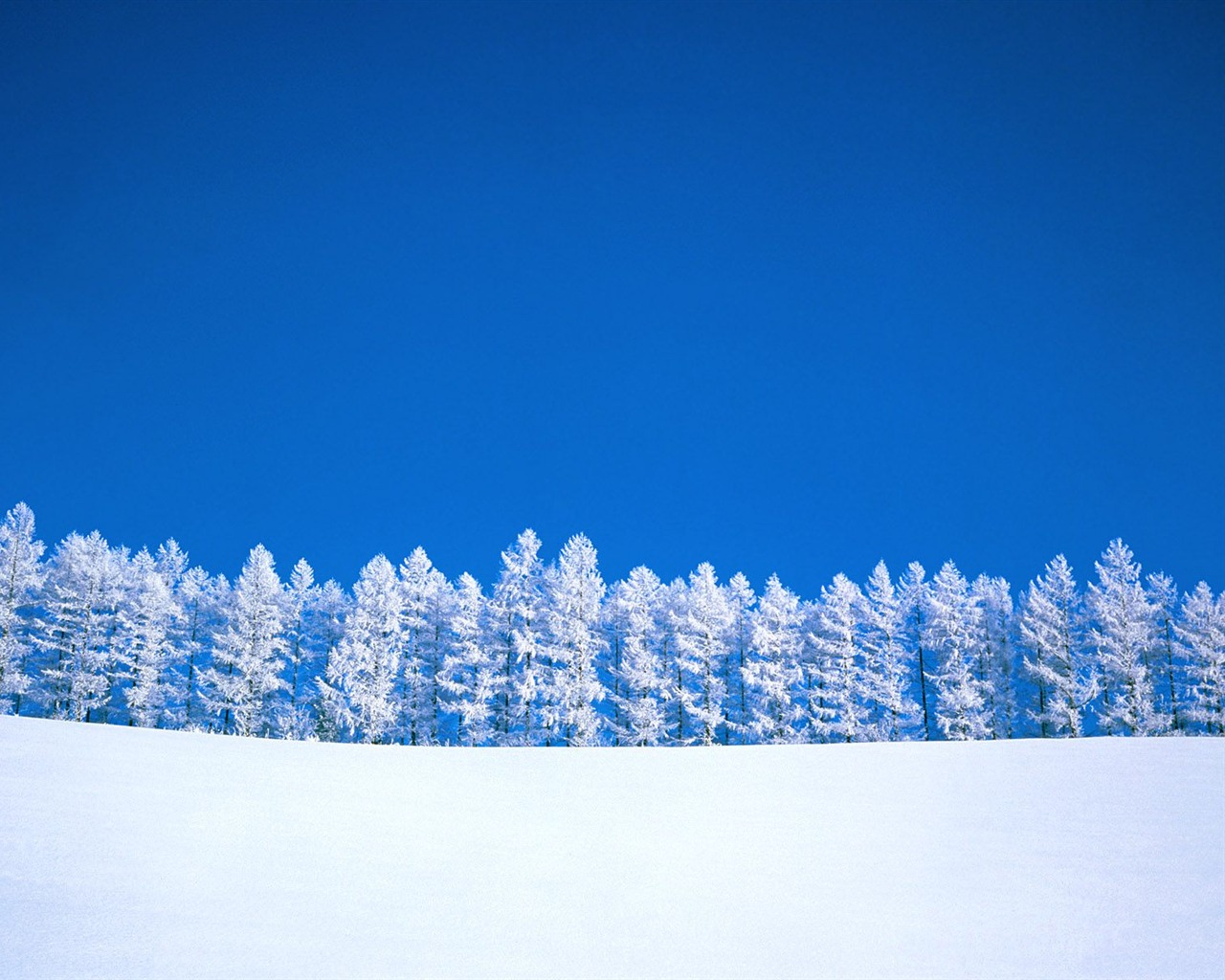 冬天雪景壁纸(三)8 - 1280x1024