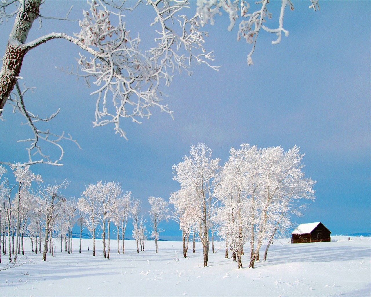 Invierno Nieve fondo de pantalla (3) #10 - 1280x1024