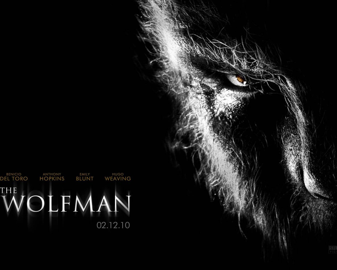 The Wolfman 狼人 電影壁紙 #9 - 1280x1024