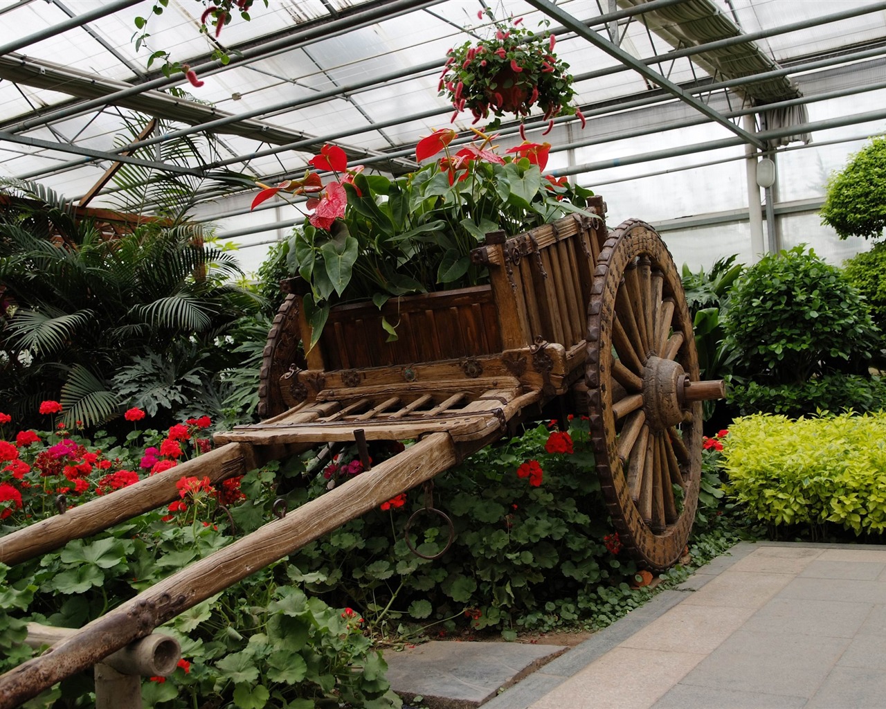 Beijing Grand View Garden Flowers with film (rebar works) #10 - 1280x1024