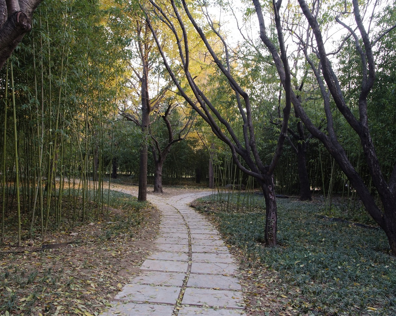 Xiangshan Herbst Garten (Bewehren) #9 - 1280x1024