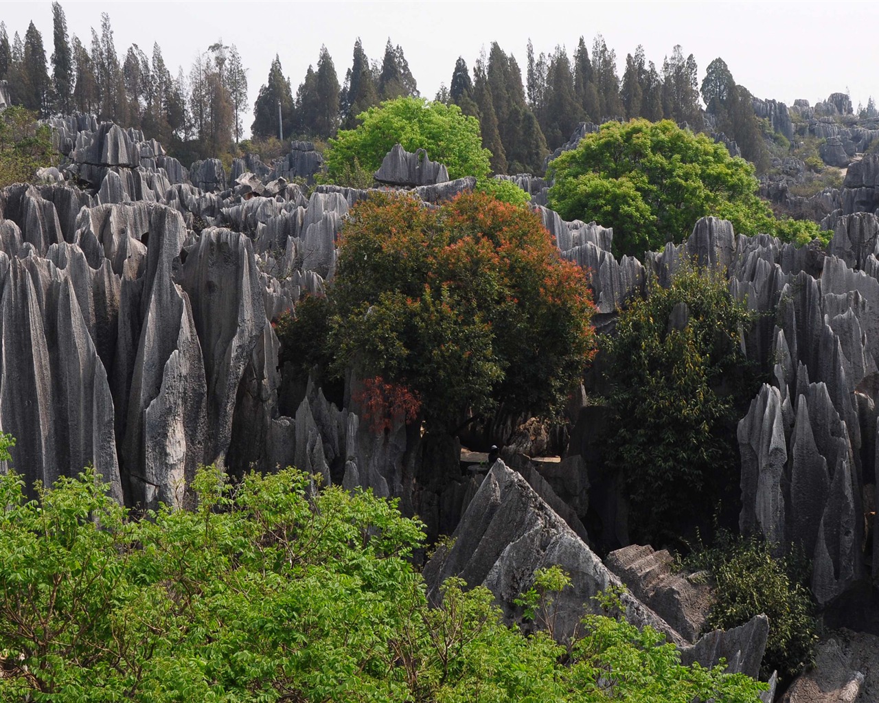 Bosque de Piedras de Yunnan en línea (1) (obras Khitan lobo) #10 - 1280x1024
