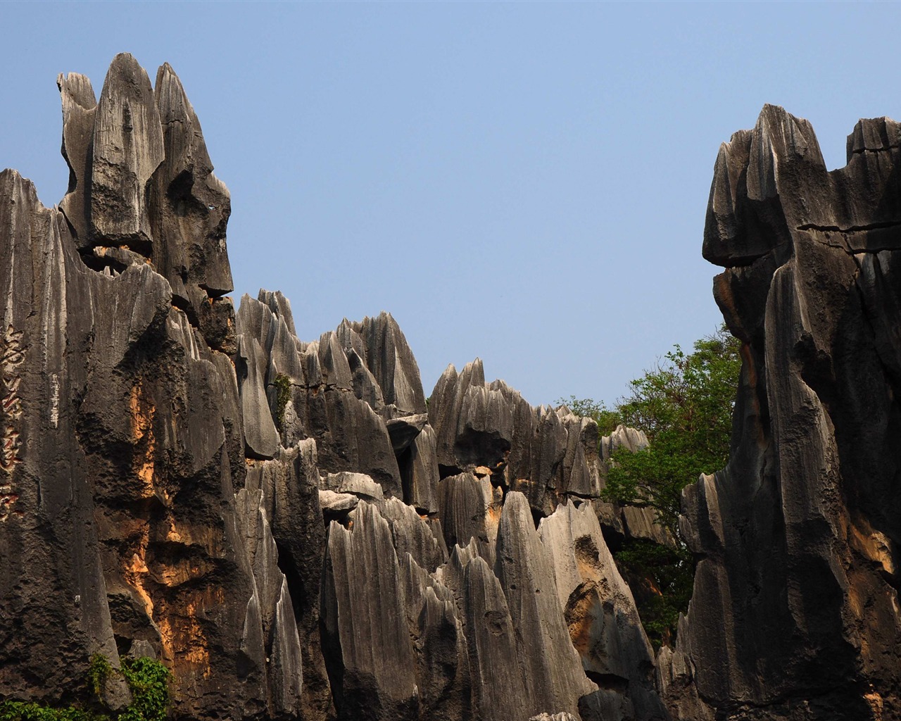 Forêt de pierre dans la ligne du Yunnan (1) (œuvres loup Khitan) #13 - 1280x1024