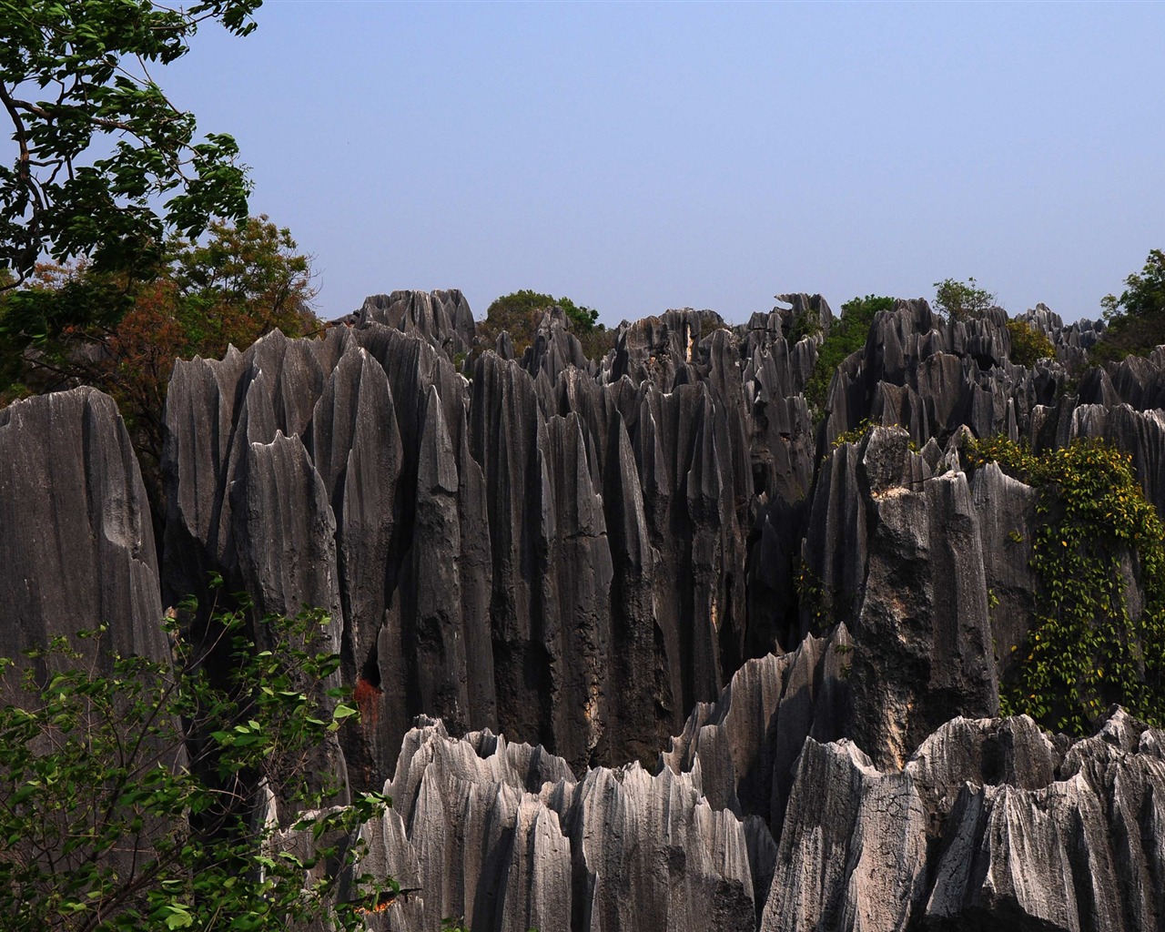 Bosque de Piedras de Yunnan en línea (1) (obras Khitan lobo) #19 - 1280x1024