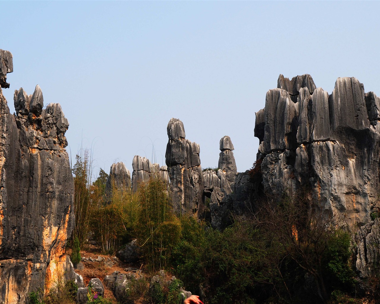 Каменный лес в провинции Юньнань линии (2) (работ киданей волка) #24 - 1280x1024