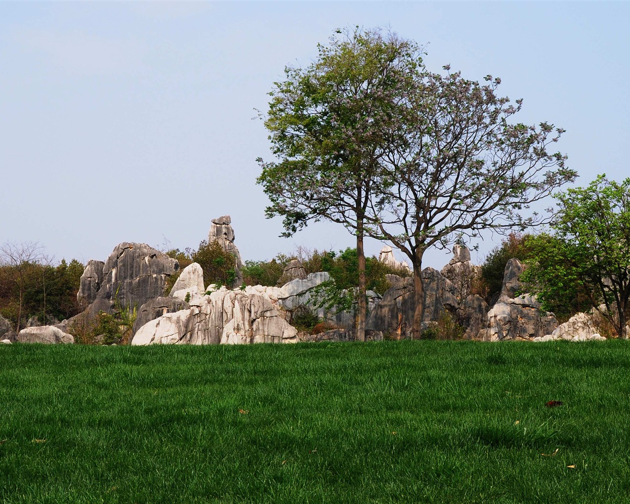 Каменный лес в провинции Юньнань линии (2) (работ киданей волка) #28 - 1280x1024