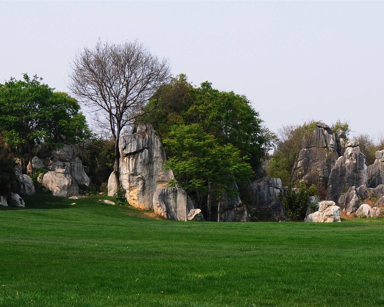 Каменный лес в провинции Юньнань линии (2) (работ киданей волка) #34 - 1280x1024