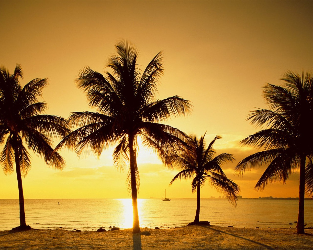 Fond d'écran Palm arbre coucher de soleil (1) #9 - 1280x1024