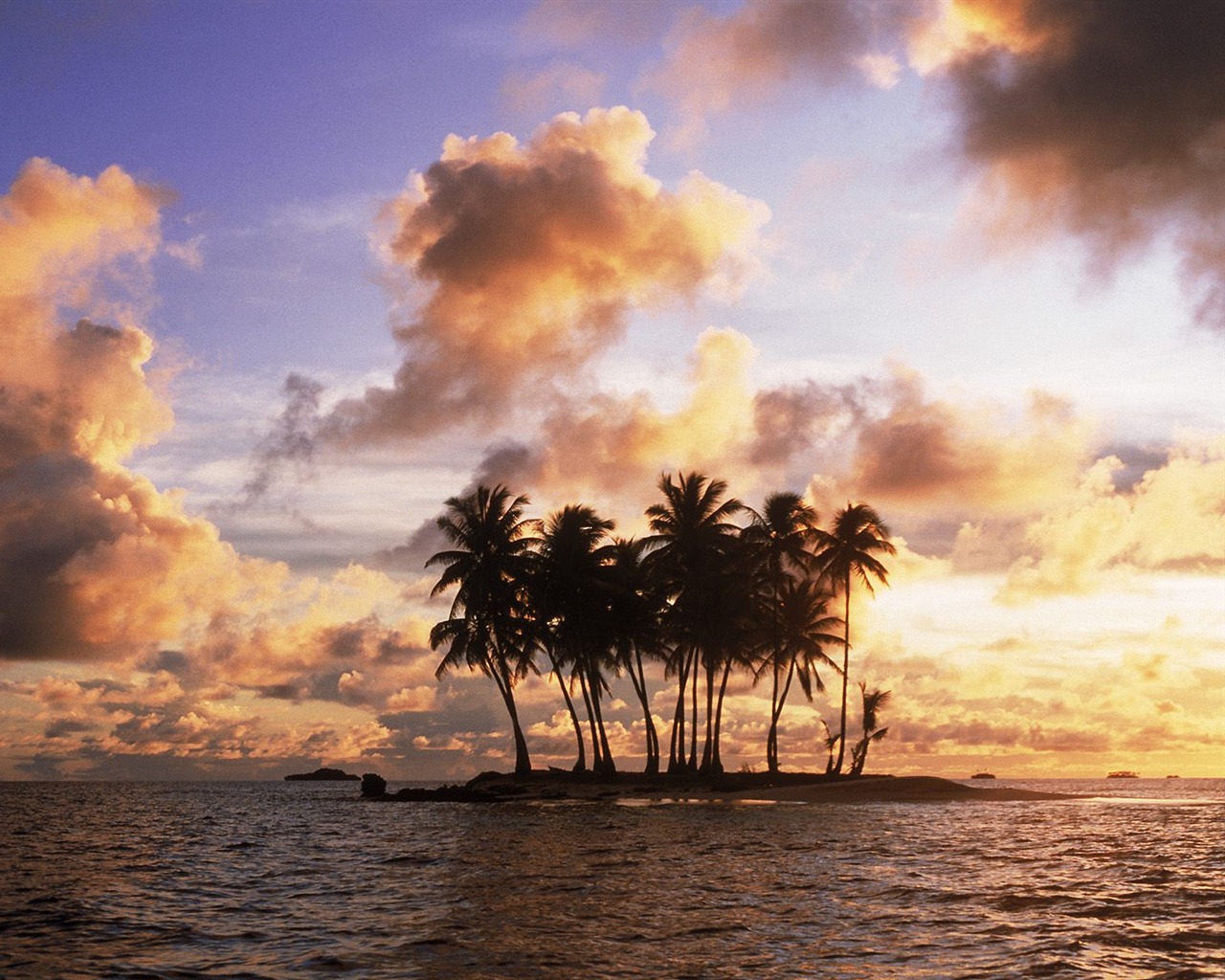 Fond d'écran Palm arbre coucher de soleil (1) #18 - 1280x1024