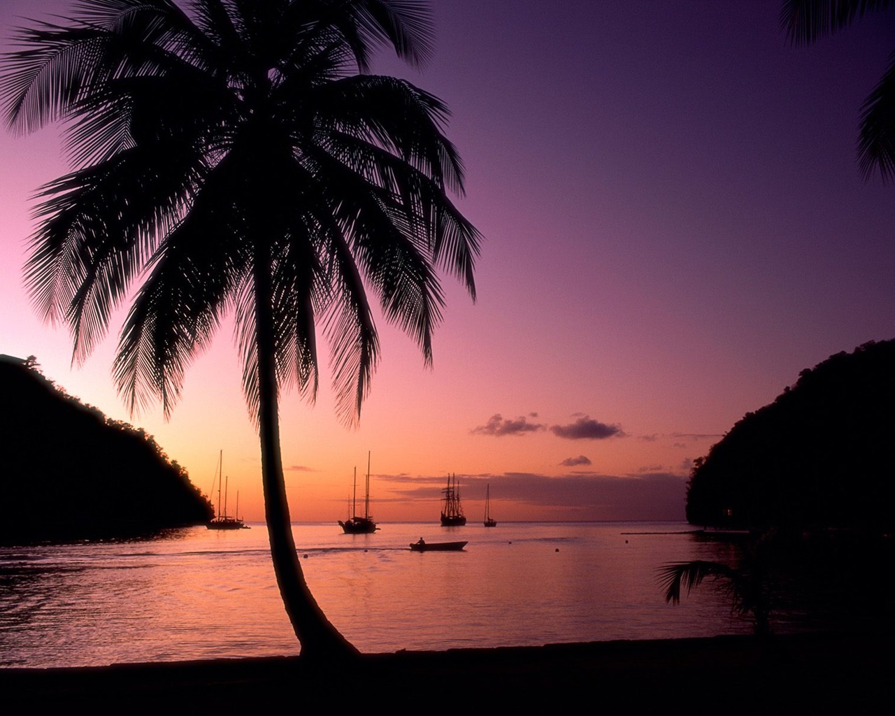 Fond d'écran Palm arbre coucher de soleil (1) #19 - 1280x1024
