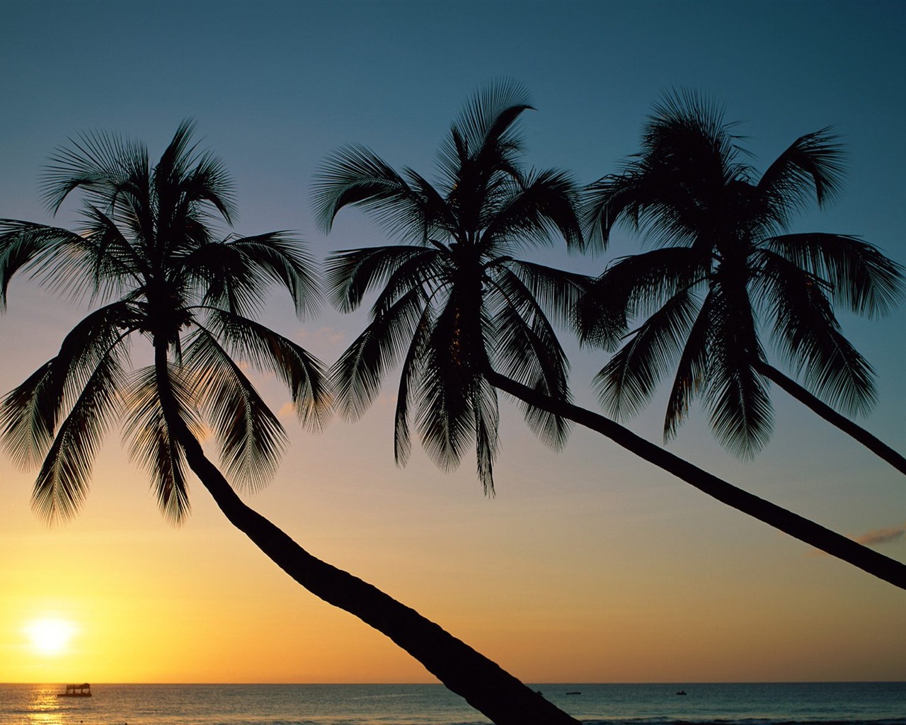 Palm tree sunset wallpaper (2) #2 - 1280x1024