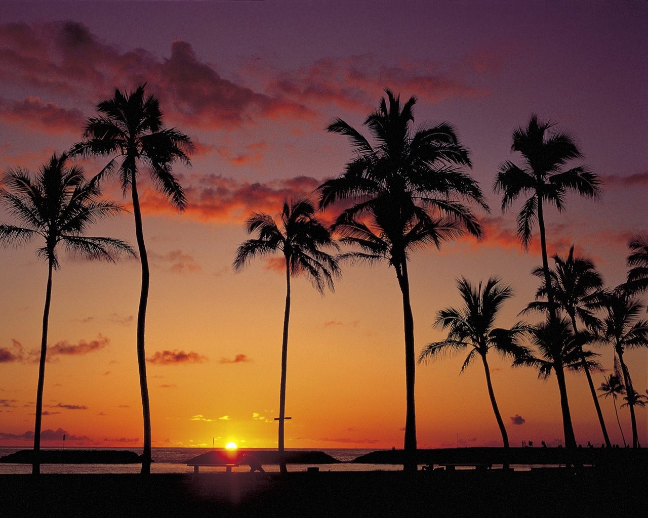 Palm tree sunset wallpaper (2) #4 - 1280x1024