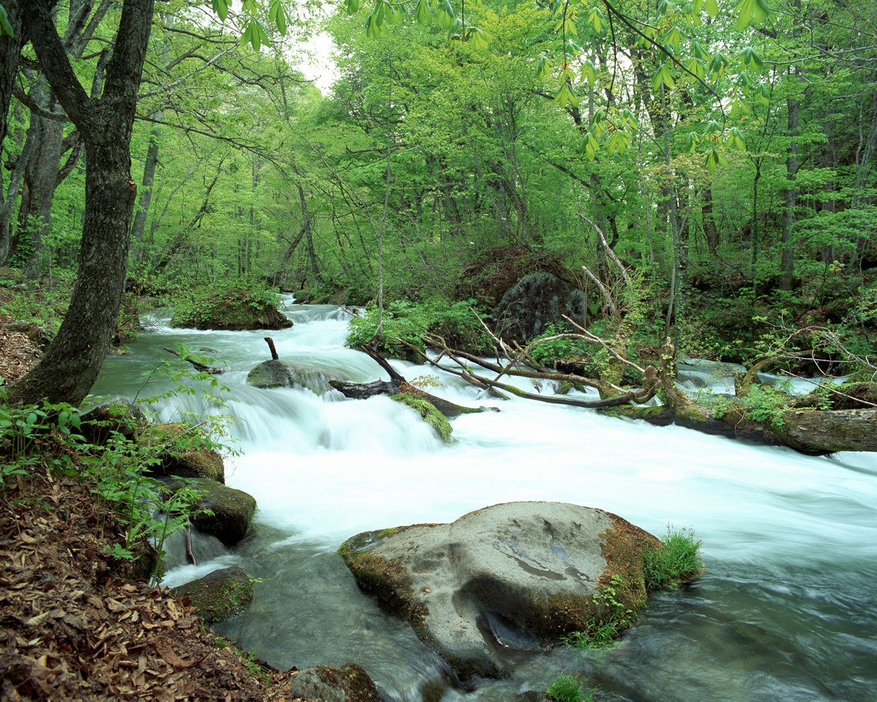 Waterfall-Streams Wallpaper (2) #4 - 1280x1024