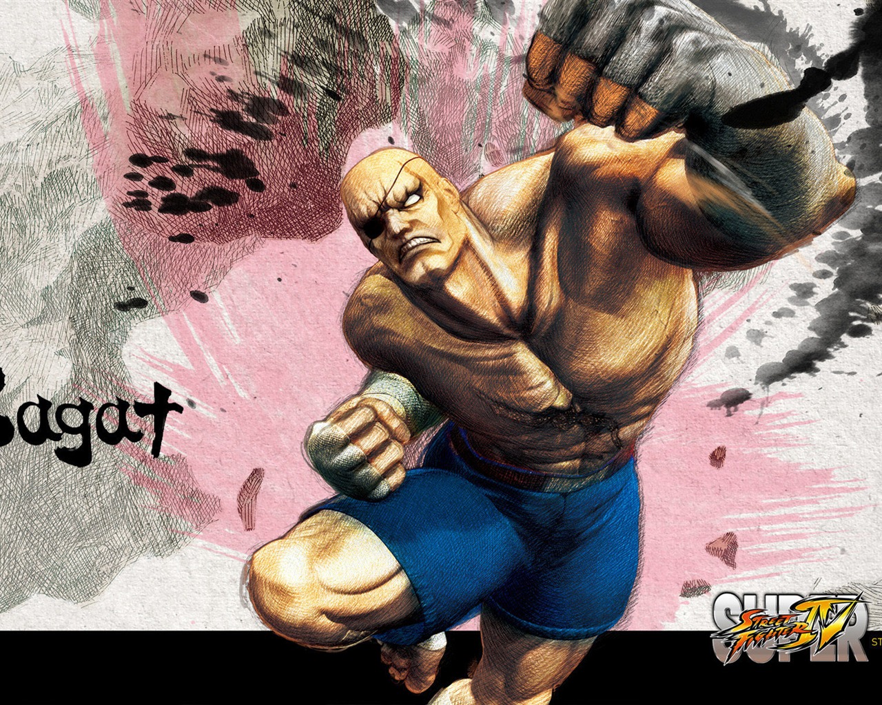 Super Street Fighter 4 Fonds d'écran HD #10 - 1280x1024