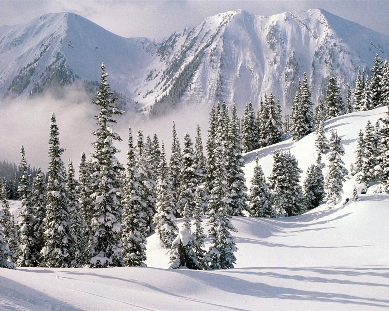 Fond d'écran panoramique de neige (1) #19 - 1280x1024