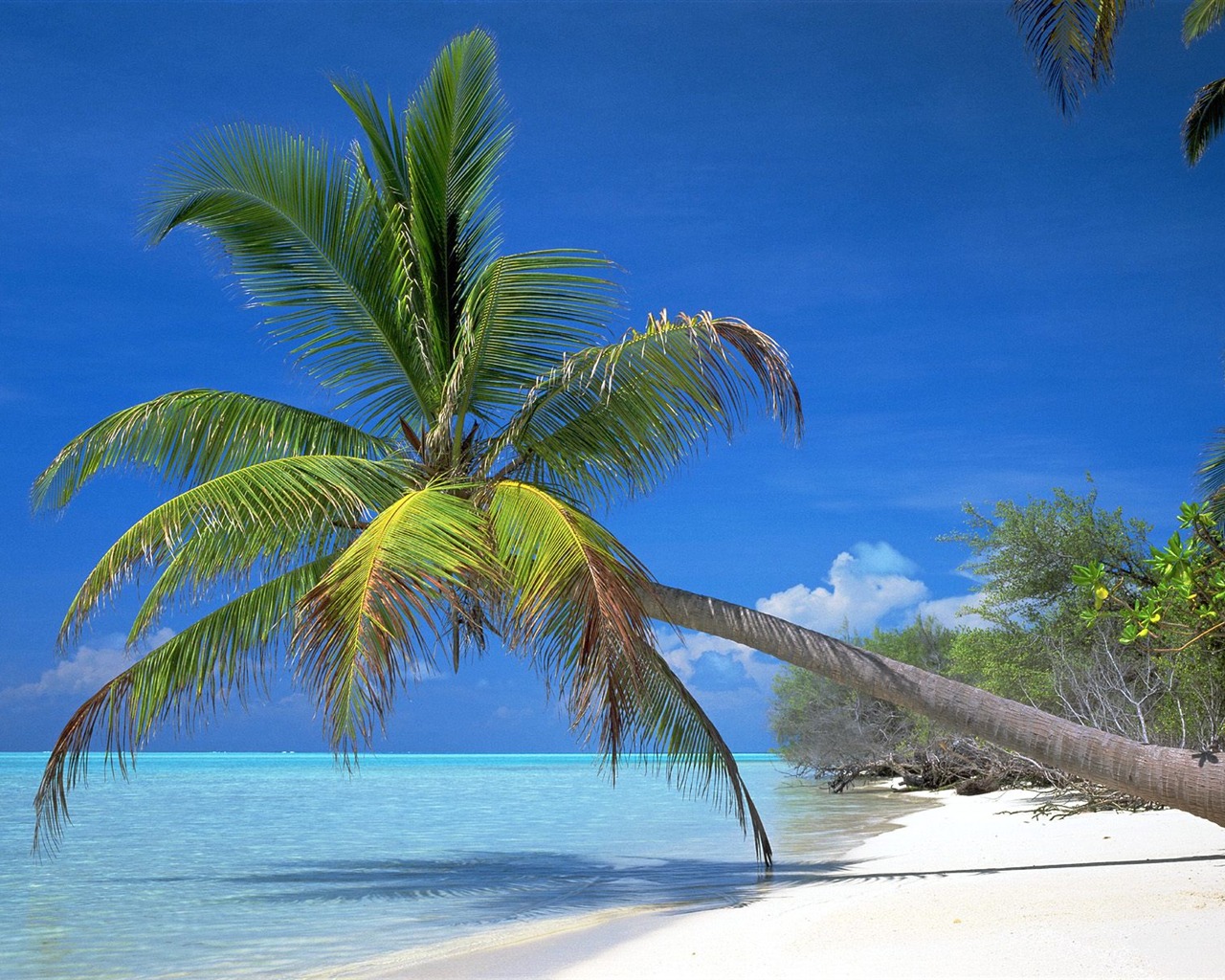 Beach Landschaft Wallpaper (6) #11 - 1280x1024