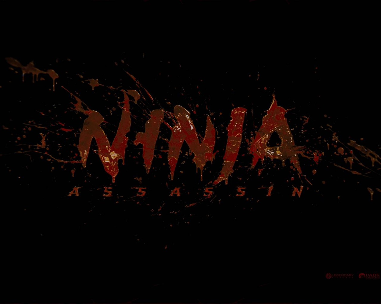 Ninja Assassin HD Wallpaper #23 - 1280x1024