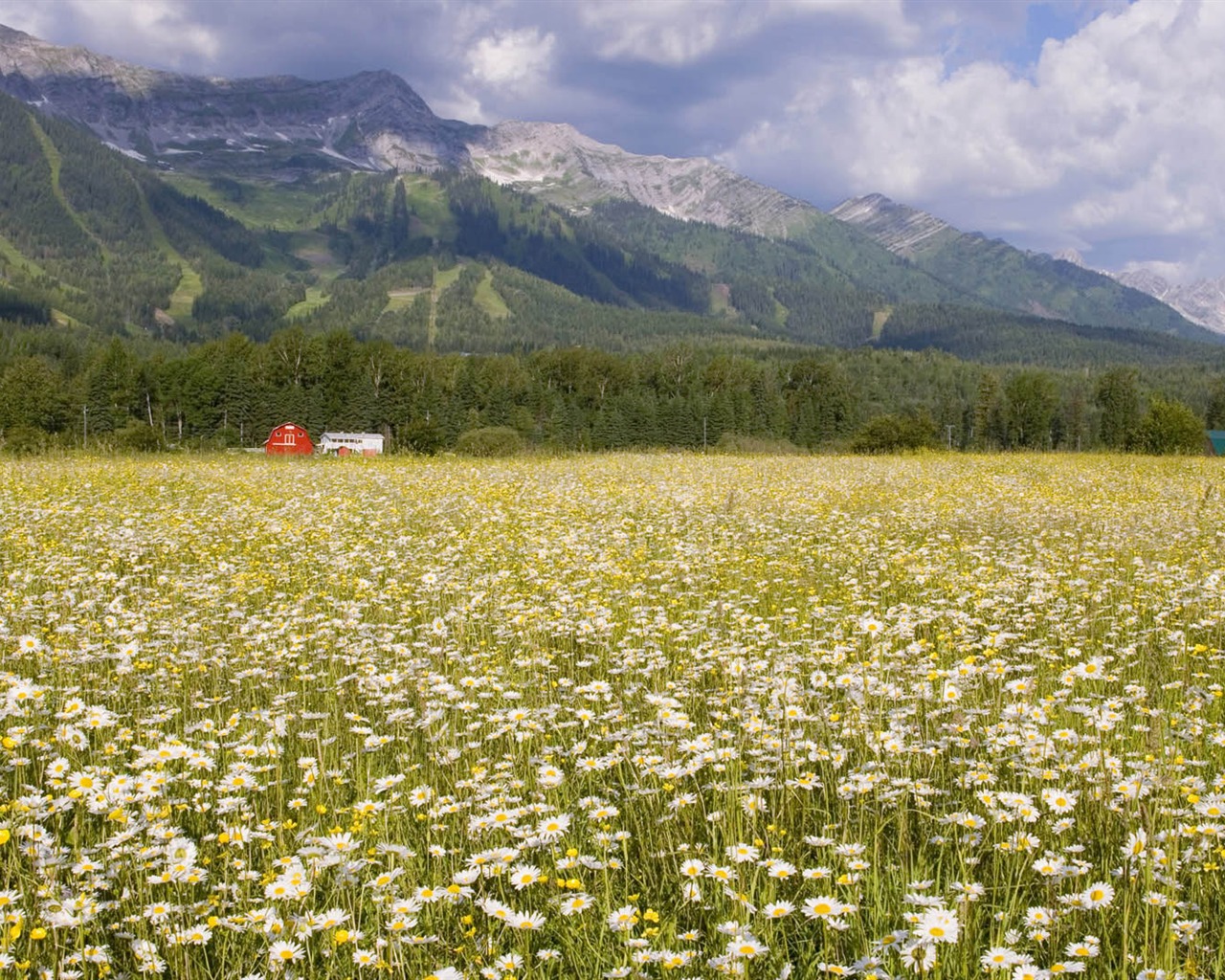 Tapety Krajina Kolekce (18) #3 - 1280x1024