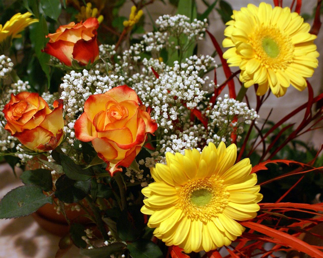 Širokoúhlý tapety květiny close-up (18) #17 - 1280x1024