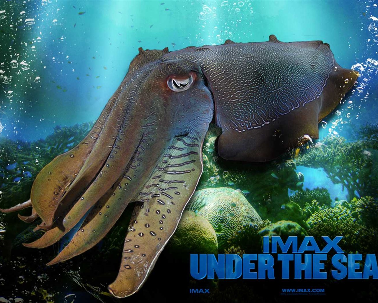 Under the Sea 3D HD Wallpaper #47 - 1280x1024