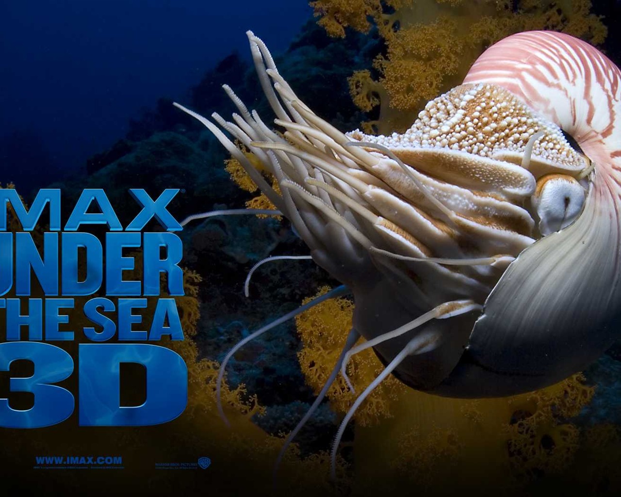 Under the Sea 3D HD Wallpaper #49 - 1280x1024