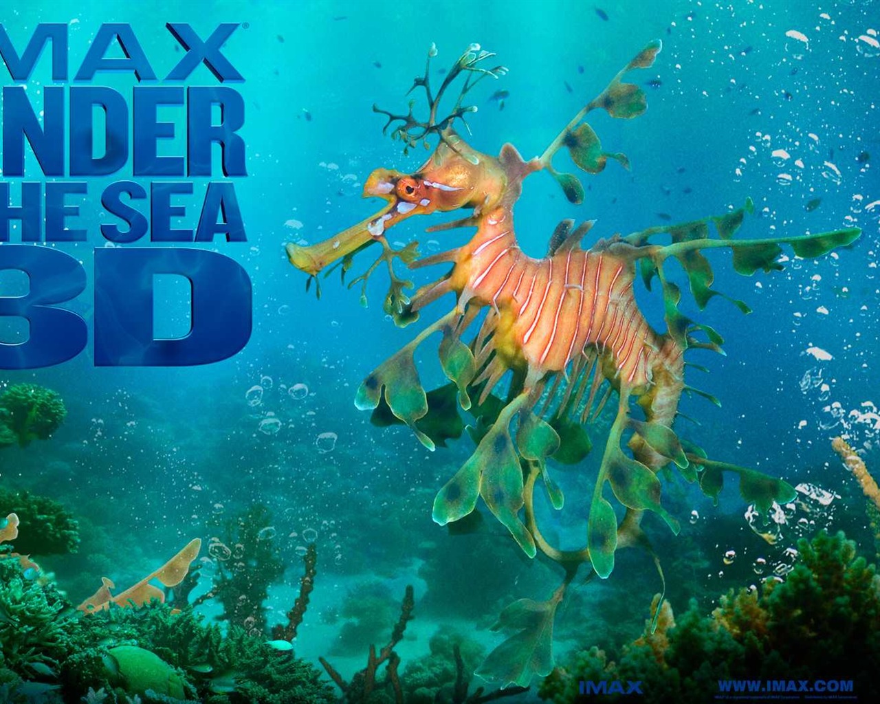 Under the Sea 3D 海底世界3D 高清壁纸50 - 1280x1024