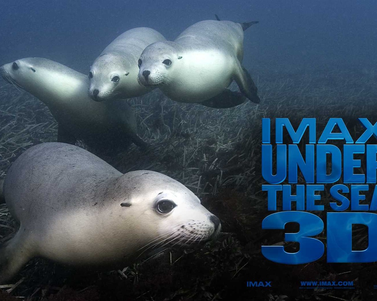 Under the Sea 3D 海底世界3D 高清壁纸51 - 1280x1024