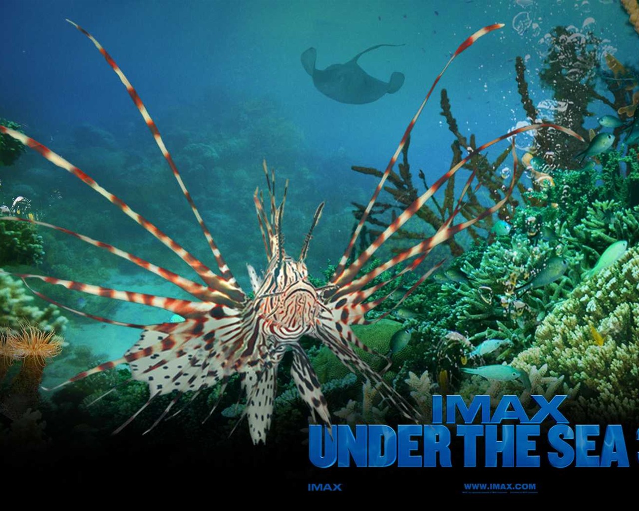 Under the Sea 3D 海底世界3D 高清壁纸1 - 1280x1024