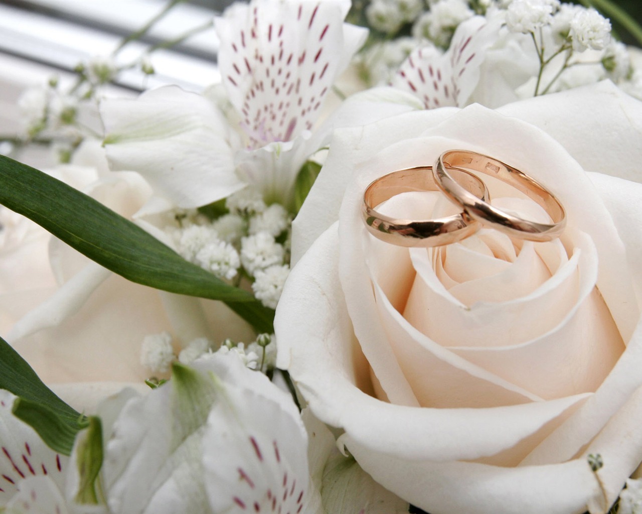 Свадьбы и свадебные кольца обои (1) #2 - 1280x1024